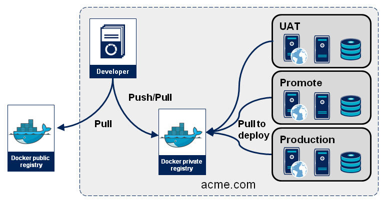 Figura 1 – I registry di Docker