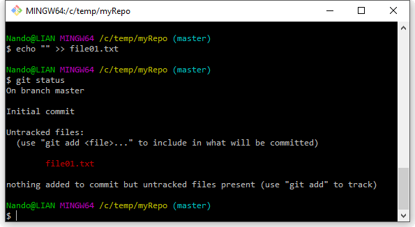 Figura 8 – Il primo commit.
