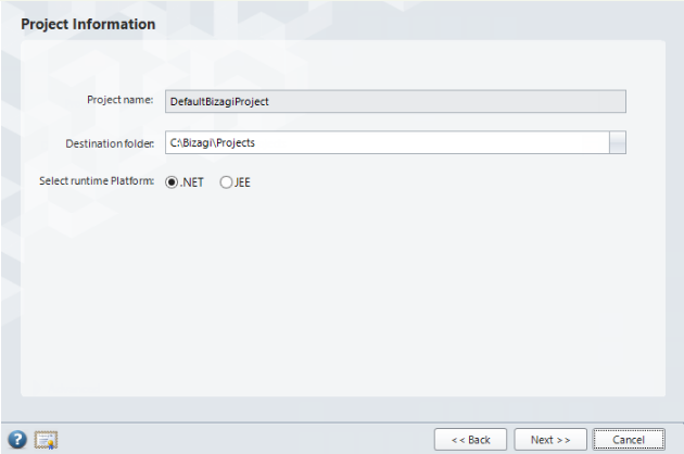 Figura 2 – Project Information.