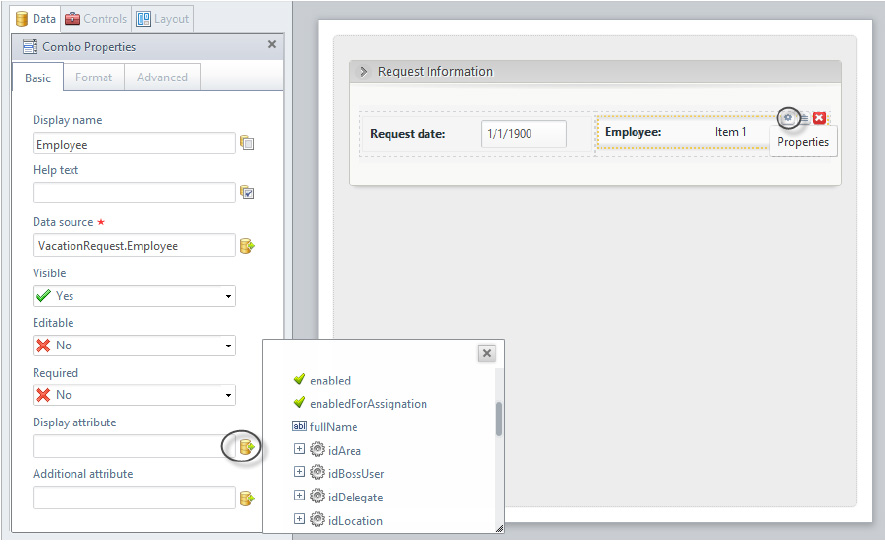 Figura 10 – Attributo Employee: definizione della proprietà Display attribute.