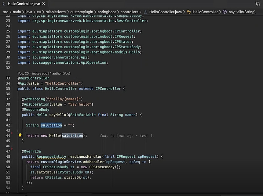 Figura 4 – La classe Java aperta su Visual Studio Code.