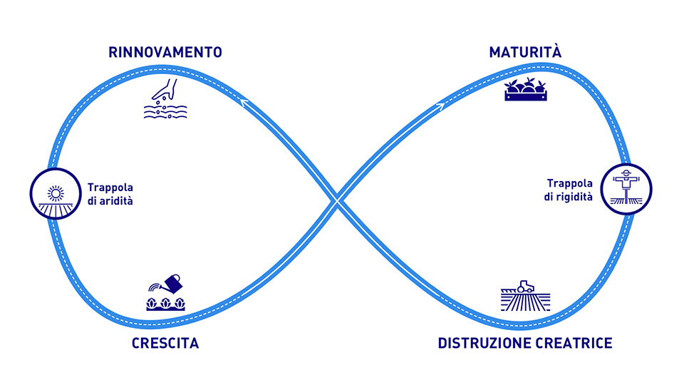 Figura 3 – Lo schema che riassume in maniera prociclica le diverse fasi di sviluppo dell’organizzazione, con la metafora della coltivazione agricola.