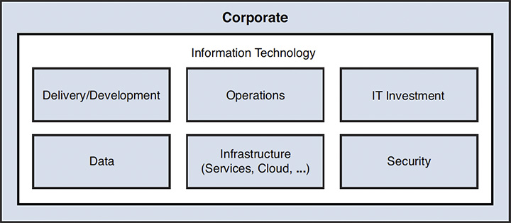 Figura 1 – Information Technology come “partner”.