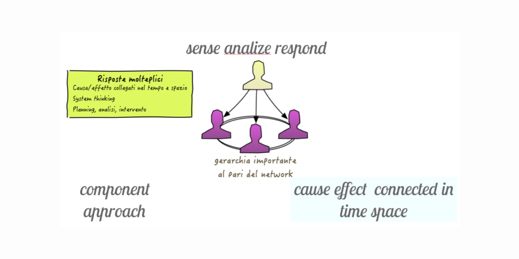 Figura 3 - Il quadrante complicato del Cynefin: il pattern comportamentale è quello in cui si misura, poi si analizza e infine si agisce.