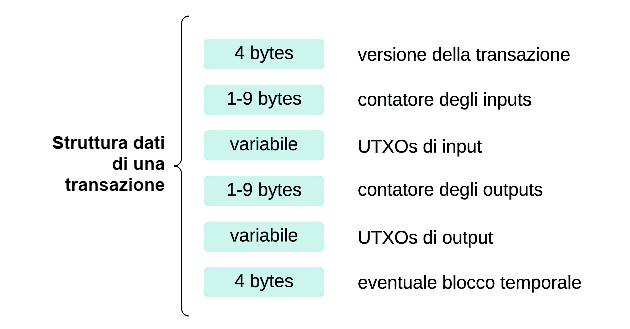 Figura 1 – La struttura di una transazione.