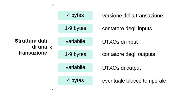 Figura 1 – La struttura di una transazione.