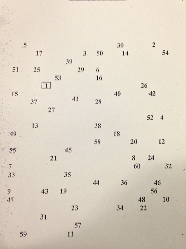 Figura 10 – Il tabellone coi puntini da unire. Apparentemente la disposizione è casuale, in realtà c‘è uno schema ben preciso, scoperto il quale è molto più semplice unire i 60 punti in un minuto.