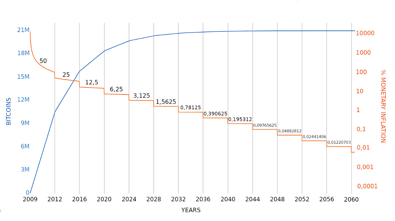 Figura 1 – Il processo di halving.