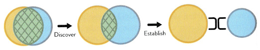 igura 3 – Tipica evoluzione di una team topology nel tempo- Team Topologies (da M. Skelton e M. Pais, Team Topologies).
