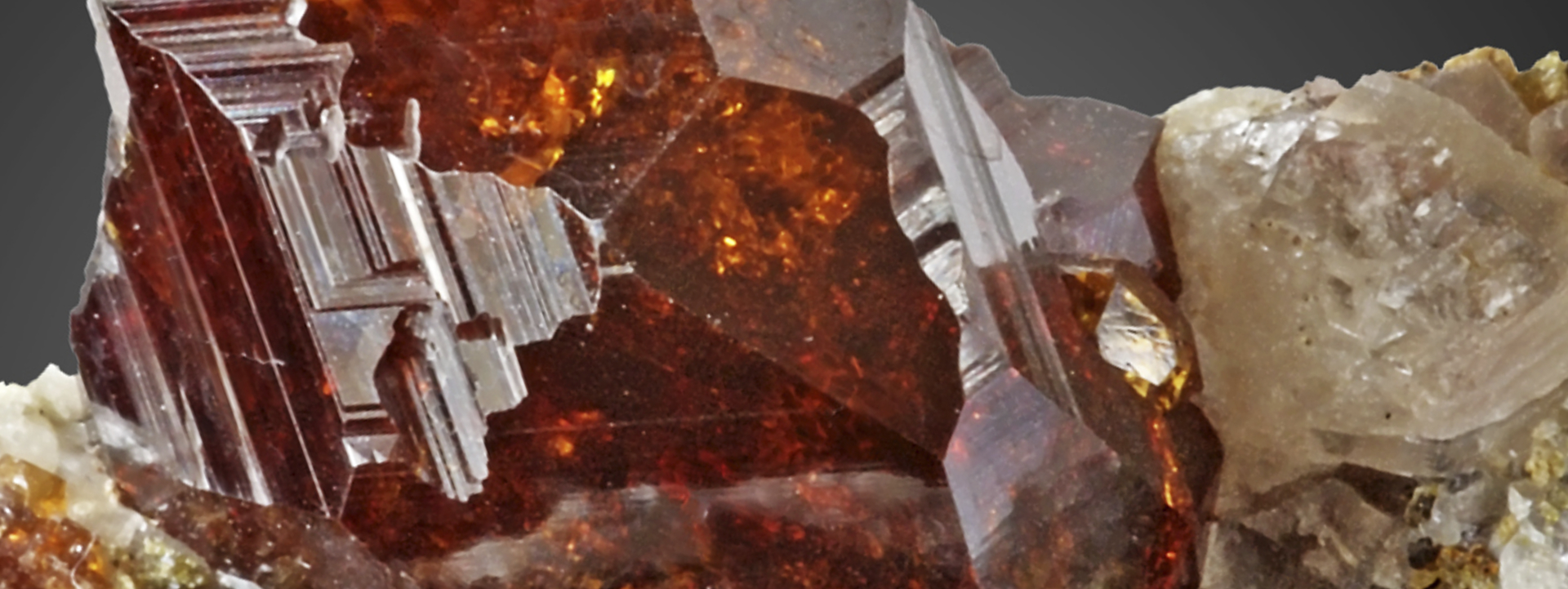 Immagine: Wikimedia Commons, autore Moha112100 su licenza Creative Commons Attribution-Share Alike 3.0 Unported. https://commons.wikimedia.org/wiki/File:Garnet_Andradite20.jpg